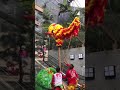 dragon dance
