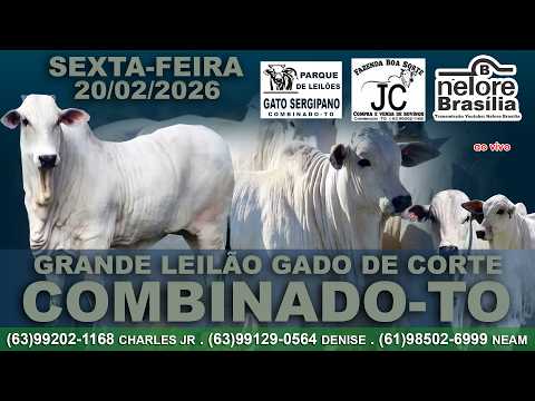 Grande Leilão, Combinado-TO, Sexta-Feira, 20/02, (63)99202-1168 (63)99129-0564 (61)98502-6999