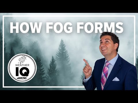 Weather IQ: How does fog form?