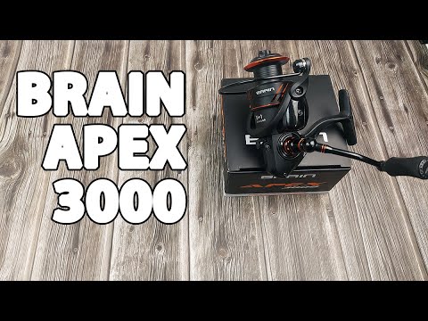 Котушка Brain Apex 3000 (5+1 підшип.), 5.0:1