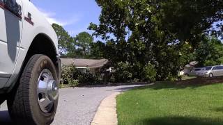 Magnolia falling in Bayside