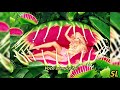 Shakira - Rules (Tradução) (Legendado)