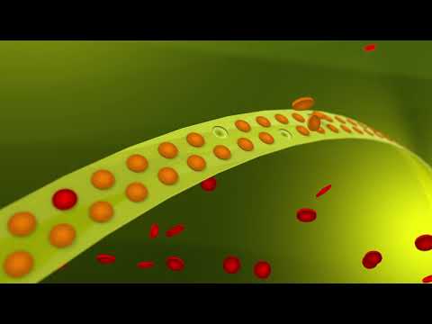 Herbstbehandlung Getreide: Wirkungsweise von Mateno® Forte Set  und Mateno® Flexi Set