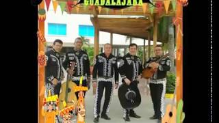 Video de Mariachi Guadalajara