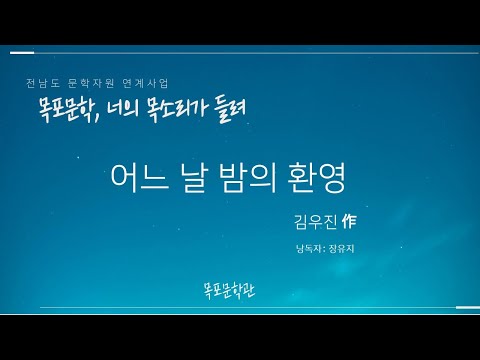 [오디오북]어느 날 밤의 환영