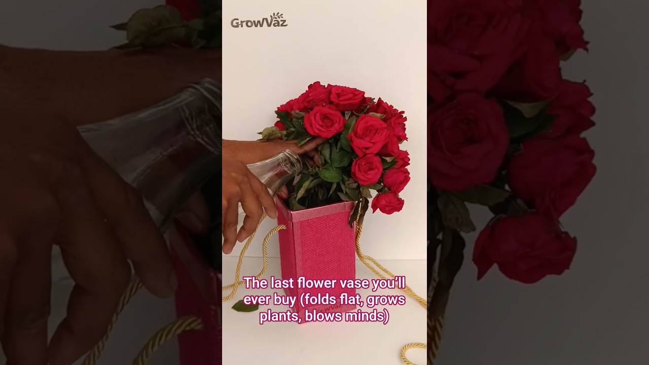 The last flower vase you’ll ever buy (folds flat, grows plants, blows minds)