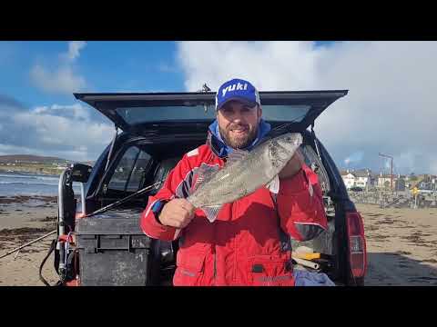 Bass fishing on Ballyheigue beach in Kerry, Ireland with lugworm.