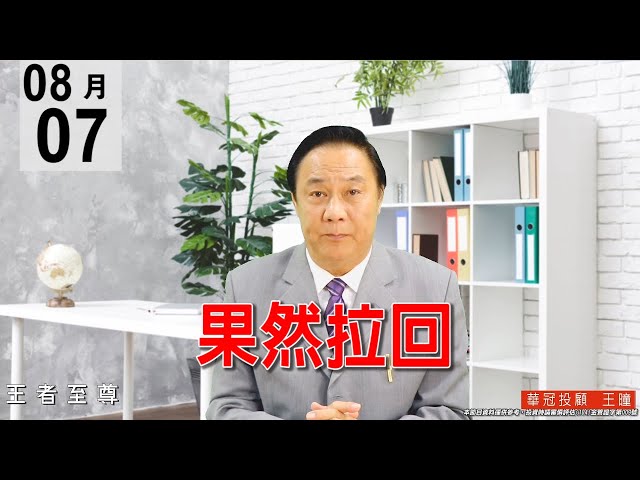 20200807《果然拉回》價跌量縮的好盤。壓盤進貨，讓指數上漲速度放慢些，正規軍就是被動族群與砷化鎵走勢最亮眼，盤勢相當健康。#王曈 #王者至尊