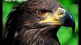 L&#39;AIGLE NOIR  P. Kass &amp; P.Obispo