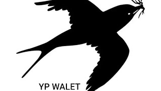 Download lagu Suara panggil raja walet kalimantan terbaru mp3 Download lagu Suara panggil raja walet kalimantan terbaru mp3