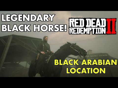 Red Dead Redemption 2 - Legendary Black Horse (Black Arabian) How To Obtain!