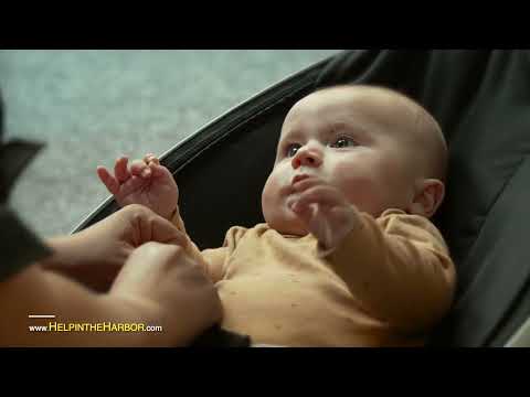 Help In The Harbor: Drive Drug Free
