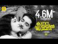 Kaanana Chayayil Song Malayalam Film Ramanan