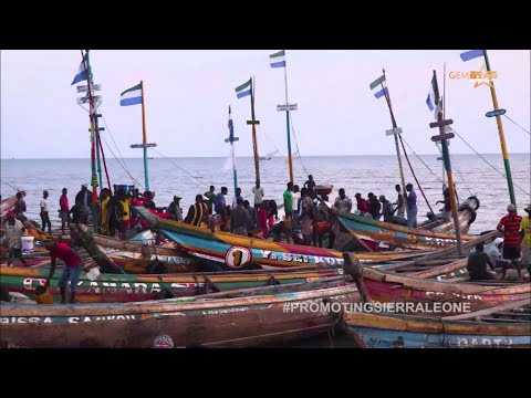 A Trip to Tombo Fishing Village | Grace Macauley Show