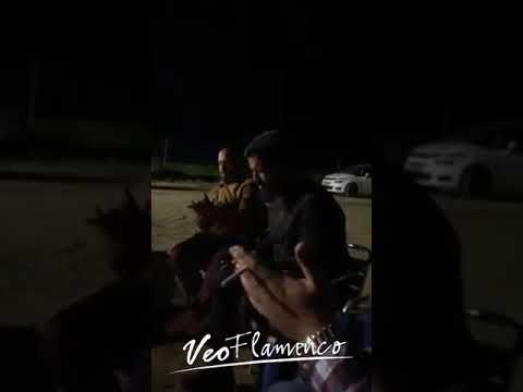 Angel Vargas "VENGO CALAITO" | VEOFLAMENCO