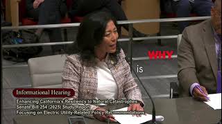 Joy Chen's Testimony To Senate, Opposing Limits on Survivors’ Rights