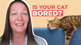 Top 5 Signs Your Cat is Bored (And How to Help)