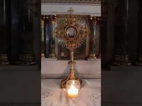 Adoración al Santísimo Sacramento del Altar con el Padre Fabian Esteban Oliva. 15/03/26