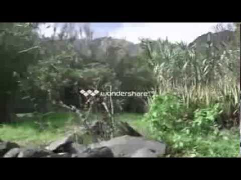 download lagu mp3 mp4 Uwe Suberg, download lagu Uwe Suberg gratis, unduh video klip Uwe Suberg