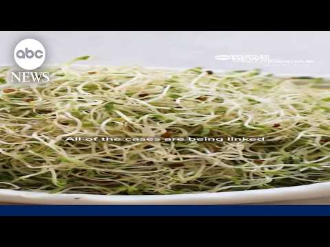 CDC: At least 55 sickened in salmonella, E. coli outbreak linked to alfalfa sprouts
