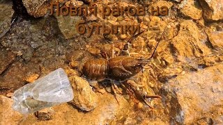 Ловля раков на бутылки и их изготовление
