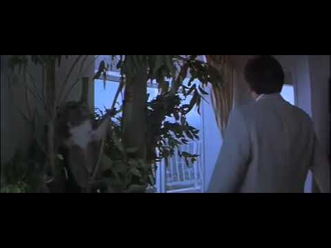 1996 Primeiro Impacto (Police Story) 4 (Legendado)