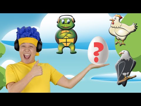 Guess What’s in the Egg | D Billions Kids Songs