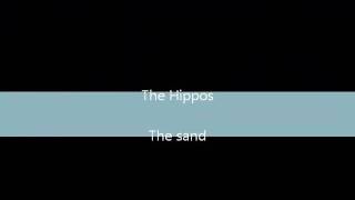 Cuba2011RC_the hippos-the sand