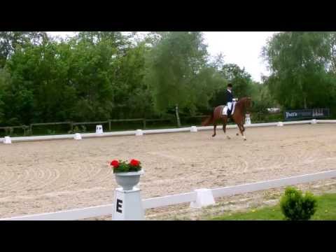 5-j. Stute Fidelia  v. Fidertanz x Alabaster x Argentinus