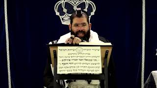 דף היומי עבודה זרה דף י"א ע"ב ¤ הרב נתנאל אברז'ל ¤ בית הכנסת "בית מרדכי" (מוסדות תורת דוד) - התמונה מוצגת ישירות מתוך אתר האינטרנט יוטיוב. זכויות היוצרים בתמונה שייכות ליוצרה. קישור קרדיט למקור התוכן נמצא בתוך דף הסרטון