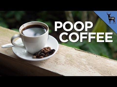 Poop Coffee Is $40 A Cup