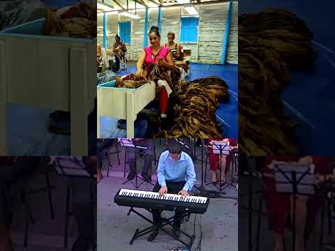 Decubre la magia  de Pinar del Río