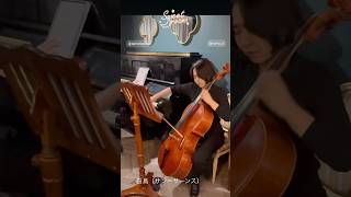 Download lagu 白鳥Camille Saint-Saens（サン＝サーンス） #紹介制ワインバー名古屋駅 mp3