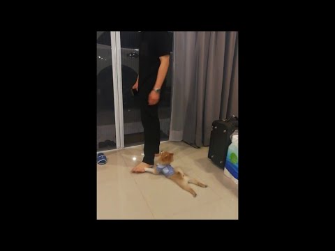 Когда очень не хочется расставаться с другом