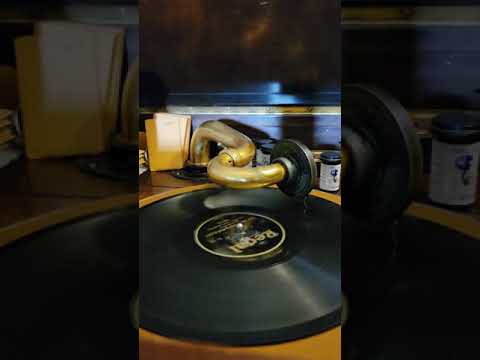 Yes Sir, That's My Baby - (Arthur Hall) Lou Gold's Dance Orchestra  Regal Records #9837 1925