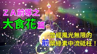 [討論] 寶可夢對戰史 ZA前導篇EP.5 大食花