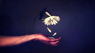 Four Nights Gone    Broken Wings