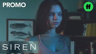 1.03 - Promo