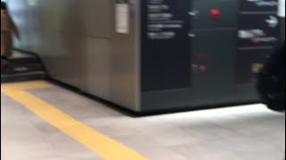 東京散歩