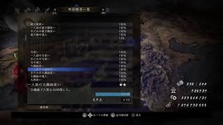 仁王2　トロコン&カンスト済　秘伝書狙い