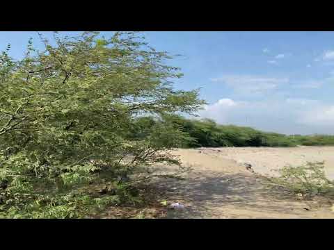 Mandvi beach | Kashi Vishwanath Beach | Kutch Gujarat || The village life ||
