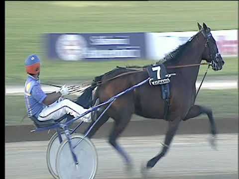 Trotto 12/09/2017 - 6ª corsa