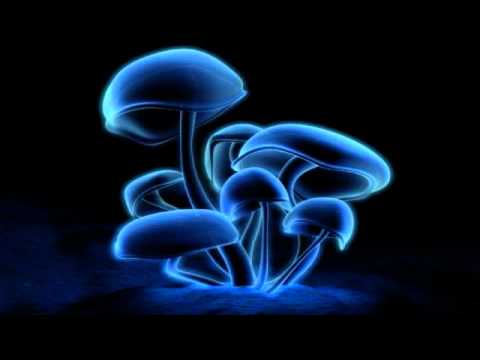 Delerium - Silence (High Rankin & Evolve or Die Remix)