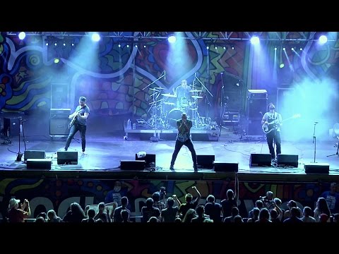 The Sunpilots - Animals In My Mind (Live at Woodstock 2014)