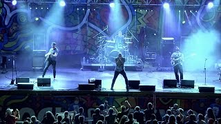 The Sunpilots - Animals In My Mind (Live at Woodstock 2014)