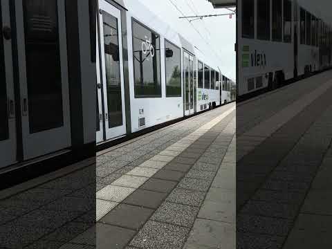 Vlexx RE 3 nach Frankfurt (Main) Hbf in Neubrücke (Nahe)