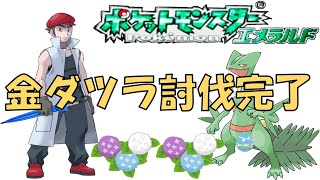 初夏ダツラ　part 4　43戦目～【ポケモンエメラルド】
