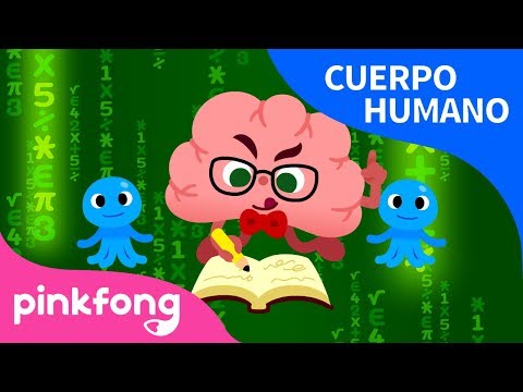 Cerebro | Cuerpo Humano | Pinkfong Canciones Infantiles