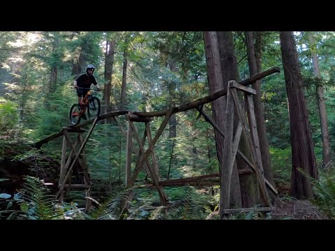 Riding Insane Features Built By Dangerous Dan