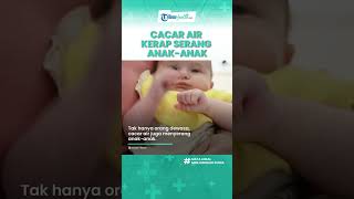 Jangan Disepelekan, Cacar Air Rentan Menyerang si Kecil, Kenali Jenis dan Gejala Sejak Dini